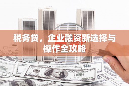 抚州税务贷，企业融资新选择与操作全攻略