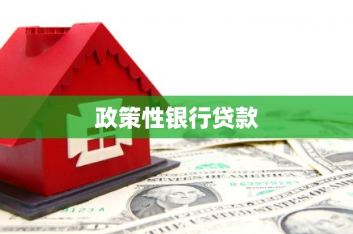 抚州政策性银行贷款