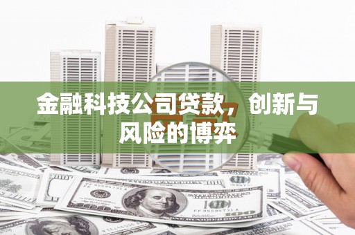 抚州金融科技公司贷款，创新与风险的博弈