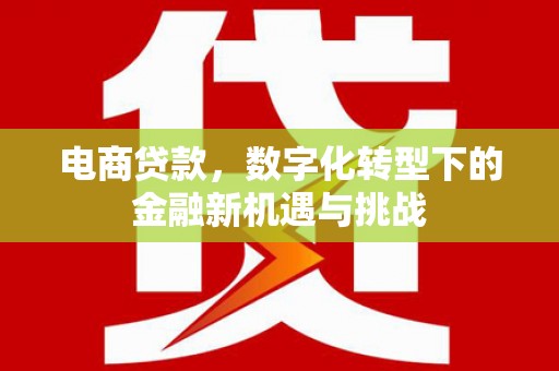 抚州电商贷款，数字化转型下的金融新机遇与挑战