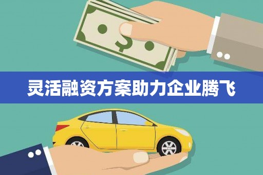 抚州灵活融资方案助力企业腾飞