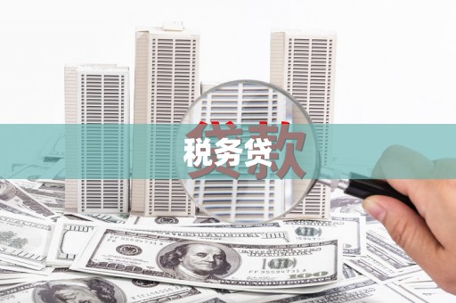抚州税务贷