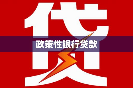 抚州政策性银行贷款
