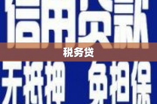 抚州税务贷
