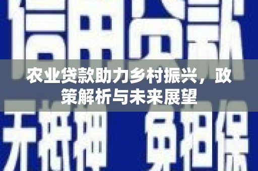 抚州农业贷款助力乡村振兴，政策解析与未来展望