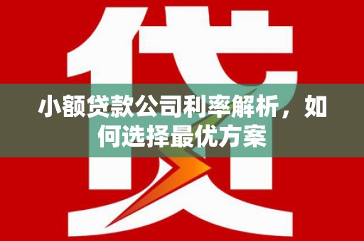 抚州小额贷款公司利率解析，如何选择最优方案