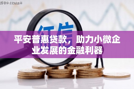 抚州平安普惠贷款，助力小微企业发展的金融利器