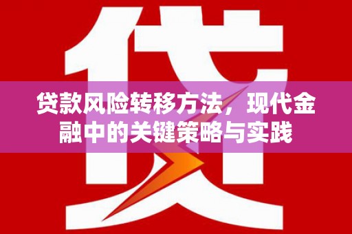抚州贷款风险转移方法，现代金融中的关键策略与实践