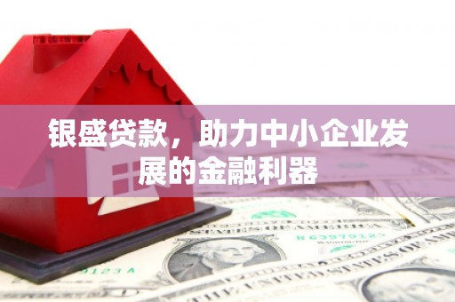 抚州银盛贷款，助力中小企业发展的金融利器