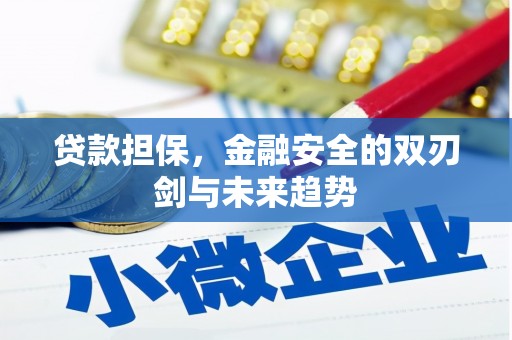 抚州贷款担保，金融安全的双刃剑与未来趋势