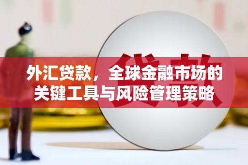 抚州外汇贷款，全球金融市场的关键工具与风险管理策略
