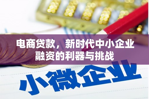 抚州电商贷款，新时代中小企业融资的利器与挑战