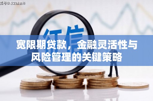 抚州宽限期贷款，金融灵活性与风险管理的关键策略