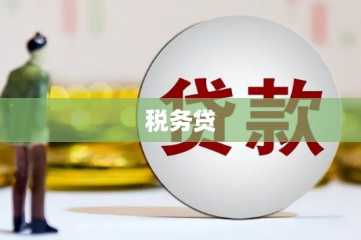 抚州税务贷