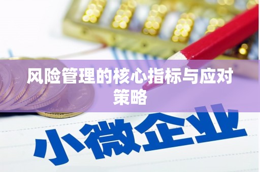 抚州风险管理的核心指标与应对策略