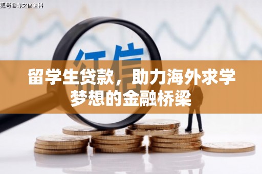 抚州留学生贷款，助力海外求学梦想的金融桥梁
