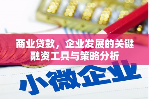 抚州商业贷款，企业发展的关键融资工具与策略分析