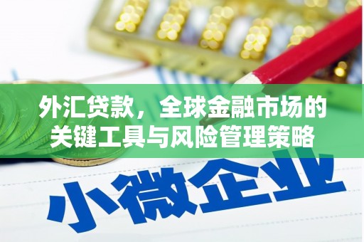 抚州外汇贷款，全球金融市场的关键工具与风险管理策略