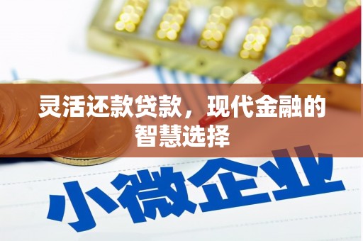 抚州灵活还款贷款，现代金融的智慧选择