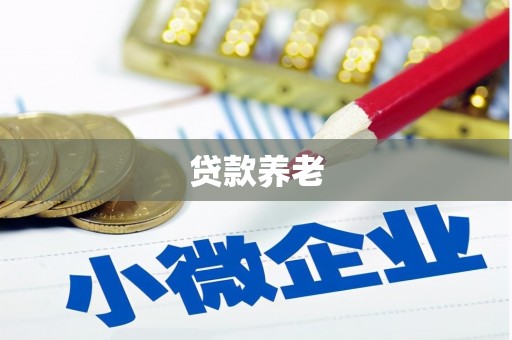 抚州贷款养老