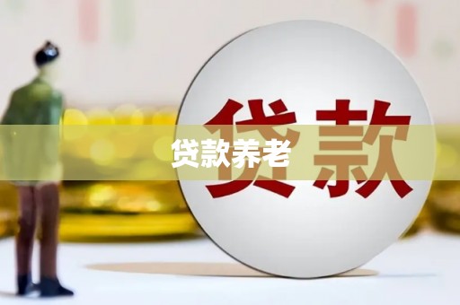 抚州贷款养老