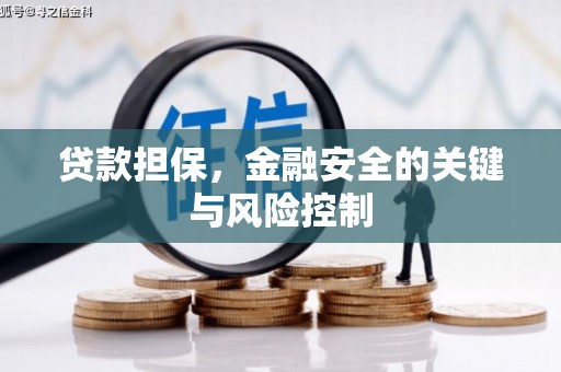 抚州贷款担保，金融安全的关键与风险控制