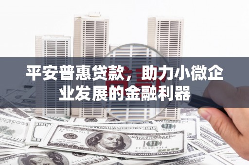抚州平安普惠贷款，助力小微企业发展的金融利器