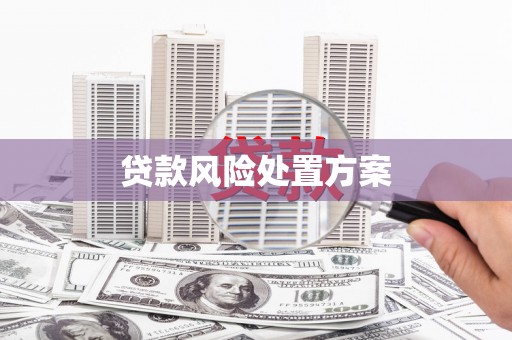 抚州贷款风险处置方案