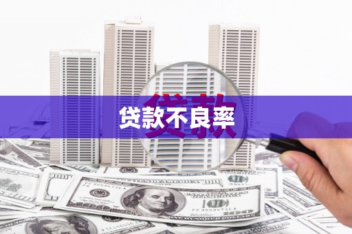 抚州贷款不良率